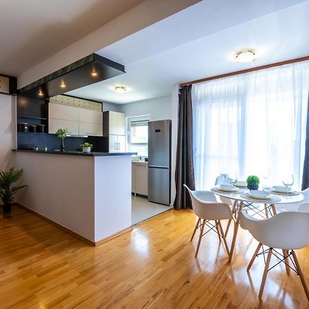 Business And Travel Lounge With Private Parking Apartment Timisoara Bagian luar foto