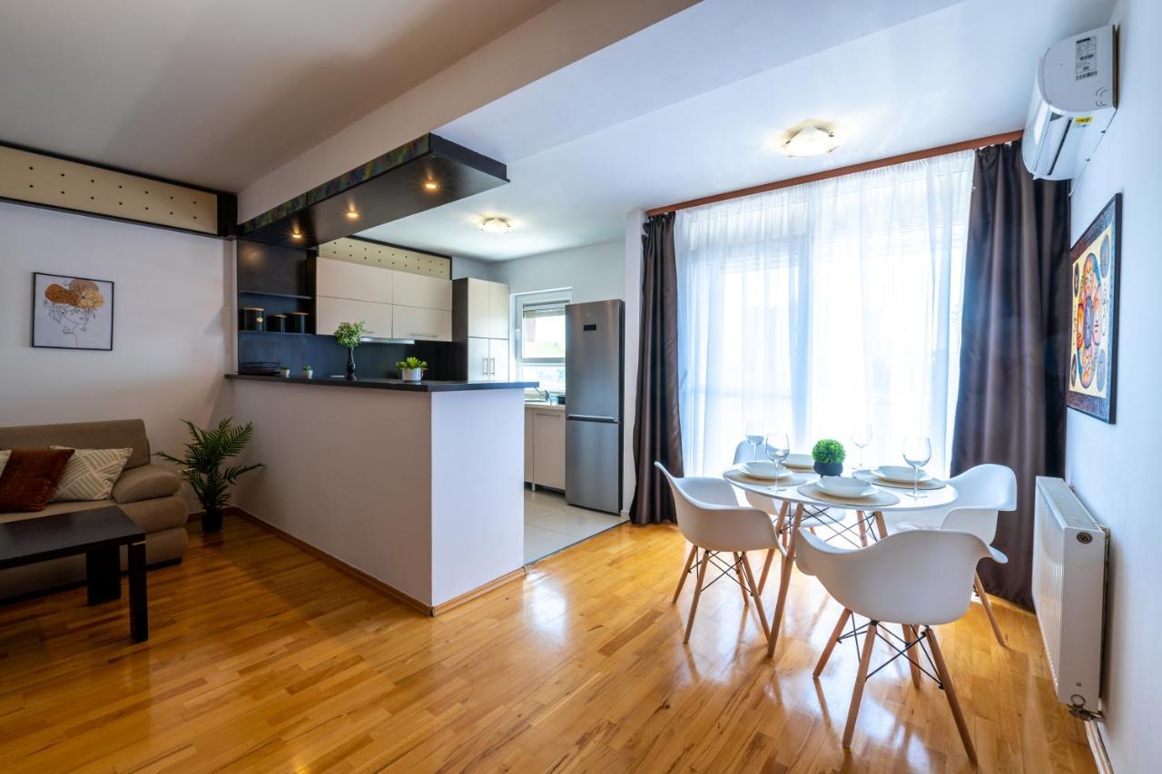 Business And Travel Lounge With Private Parking Apartment Timisoara Bagian luar foto